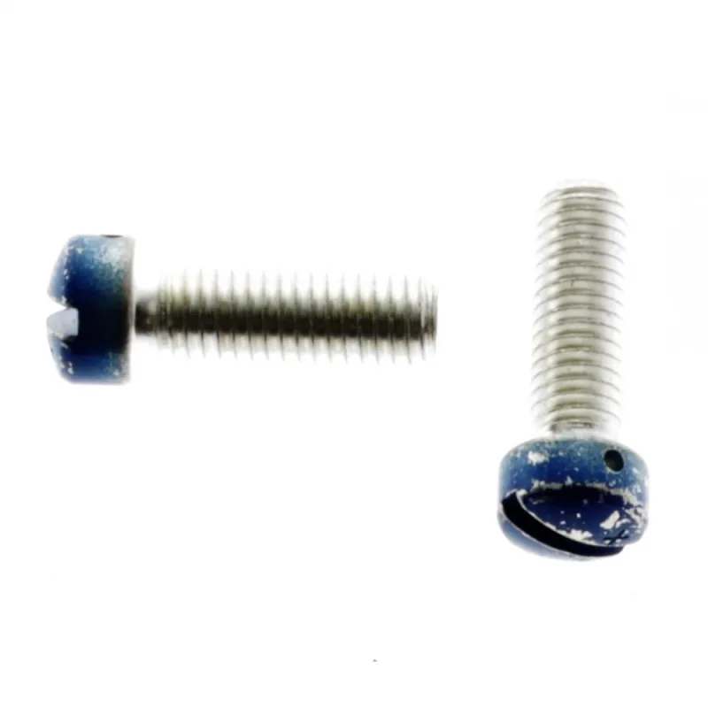 130909S3 SCREW