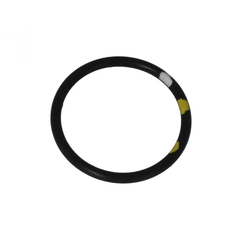 573804 PACKING O-RING