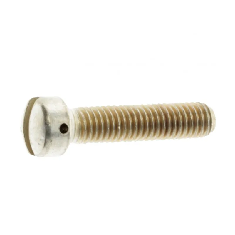A1635-54 SCREW
