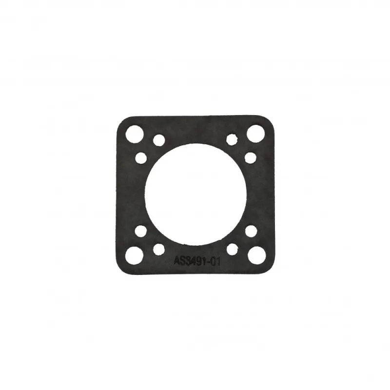 AS3491-01 GASKET