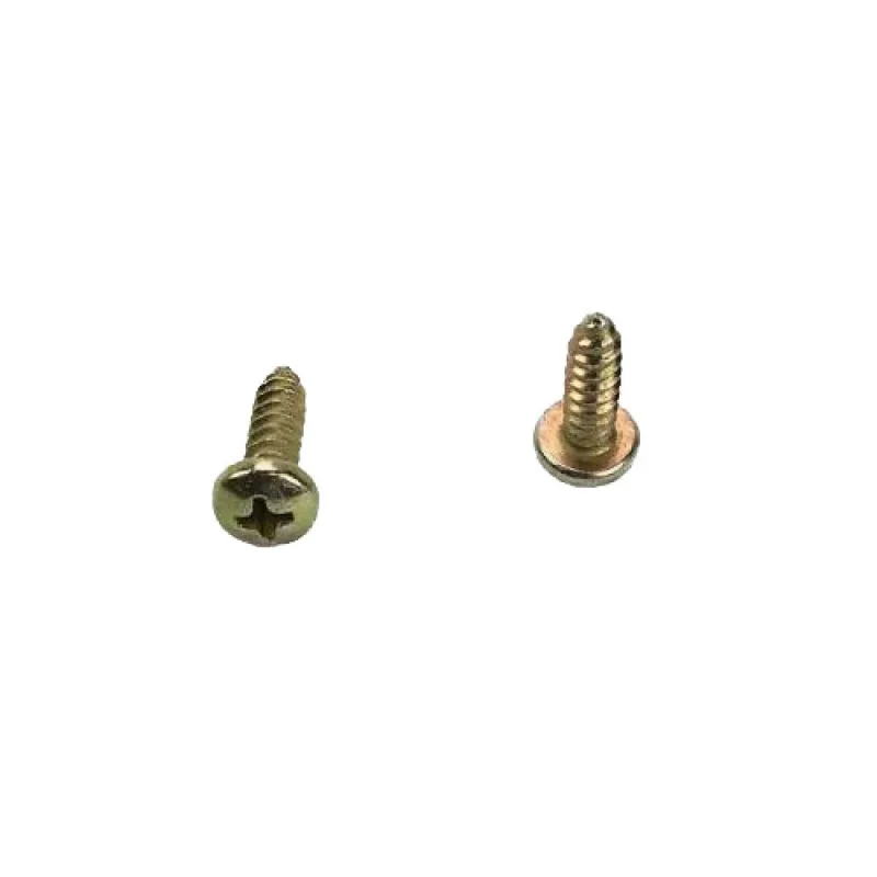 S1021A10-10 SCREW