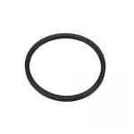 B-3883-4339 QUAD-RING