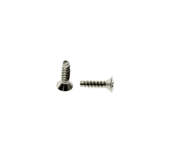 6RX1/2FHBSS SCREW