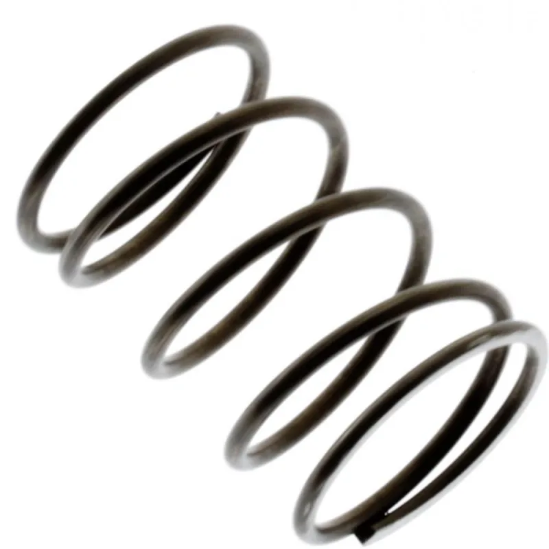 05S21021 SPRING-OIL FILTER BY-PASS VALV