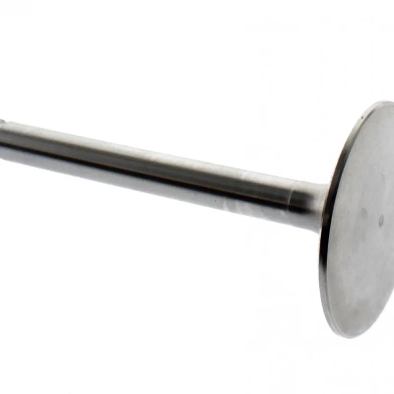 17A23939 VALVE-INTAKE