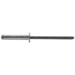AD42BS POP RIVET