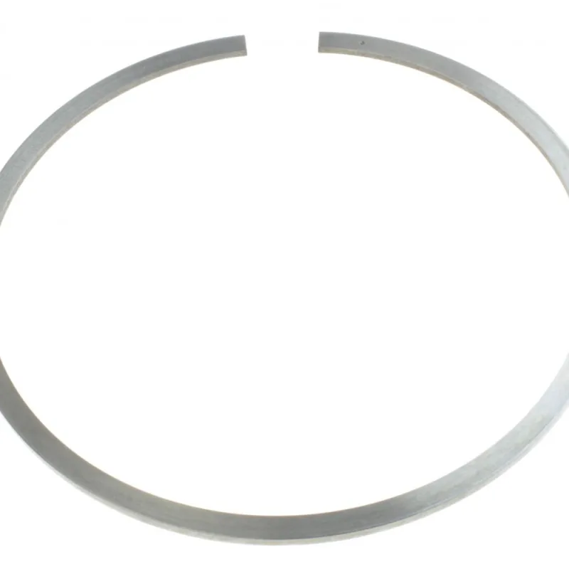 648005 RING-PISTON