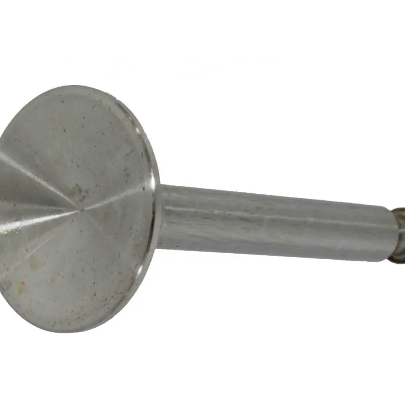 AEL19001 VALVE EXHAUST
